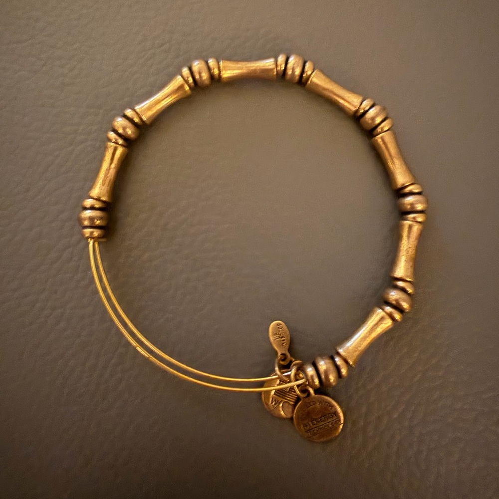 Alex and Ani Gold Bamboo Bracelet